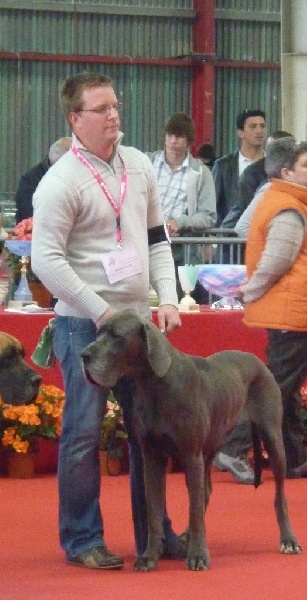 Dhara de l'Ile aux Anges Bleus - 1ERE EXCELLENT CACS + CACIB + MEILLEUR DE RACE + RING D'HONNEUR