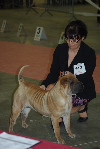 Bao de dame nature - 2eme excellent RCACS RCACIB