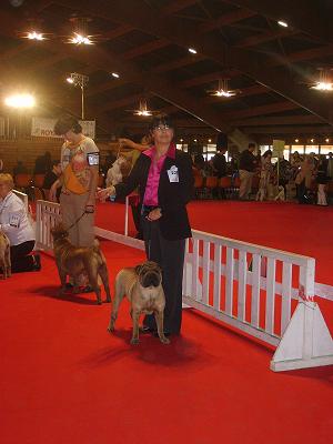 Bao de dame nature - 1er excellent RCACS RCACIB