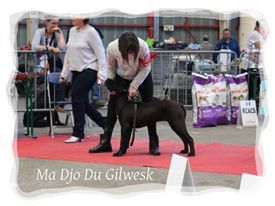 Ma djo du Gilwesk
