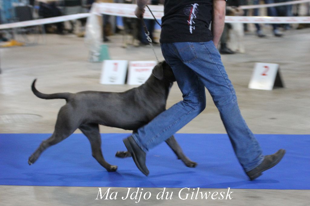 Ma jdjo .... du Gilwesk