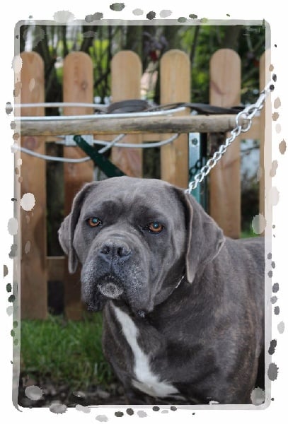 Publication : du Gilwesk Auteur : weska laurent