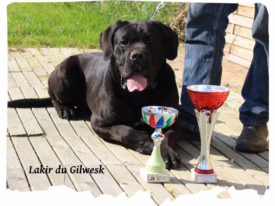 Lakir du Gilwesk