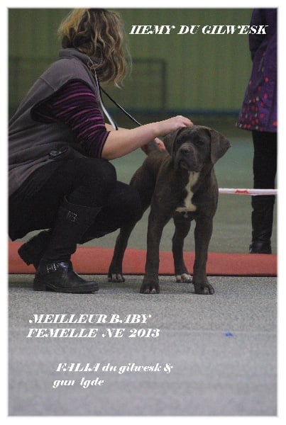 Publication : du Gilwesk Auteur : weska laurent