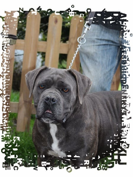 Publication : du Gilwesk Auteur : weska laurent