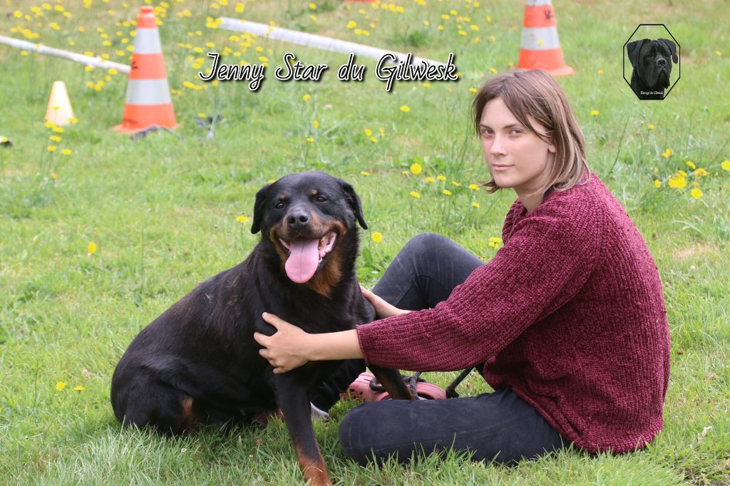 Publication : du Gilwesk