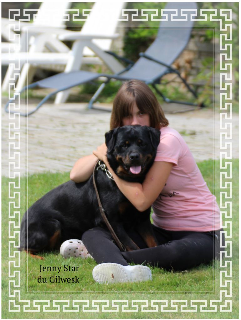 Publication : du Gilwesk