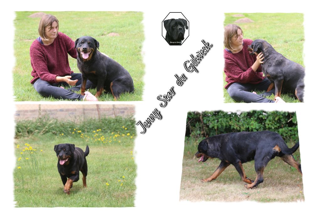 Publication : du Gilwesk