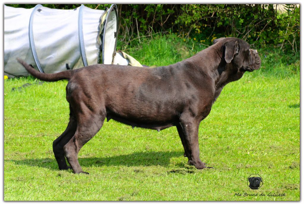 Publication : du Gilwesk