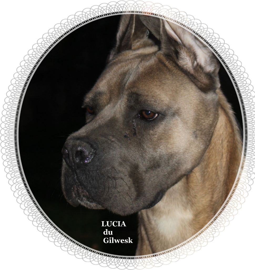 Lucia du Gilwesk
