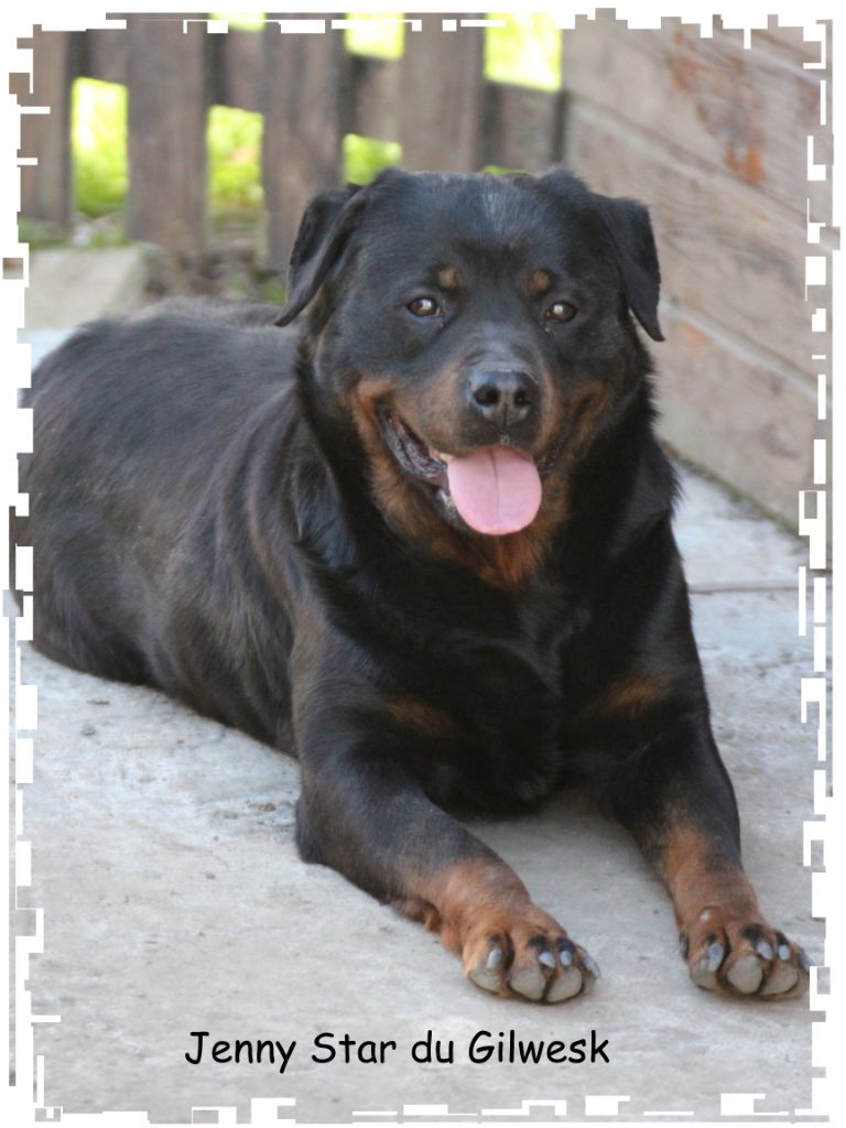 Publication : du Gilwesk