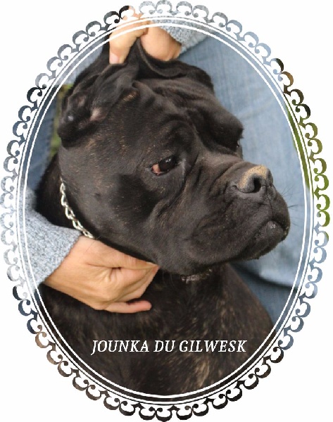 Jounka du Gilwesk