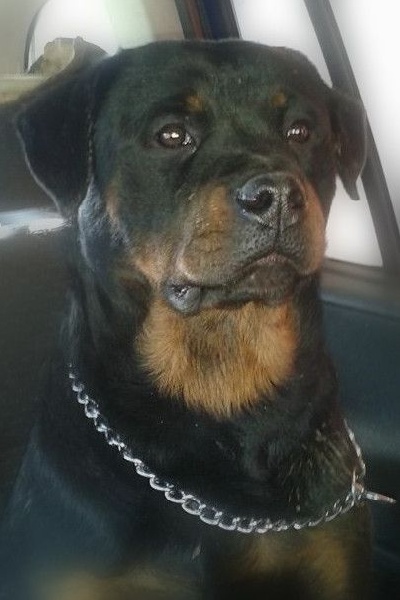 Publication : du Gilwesk