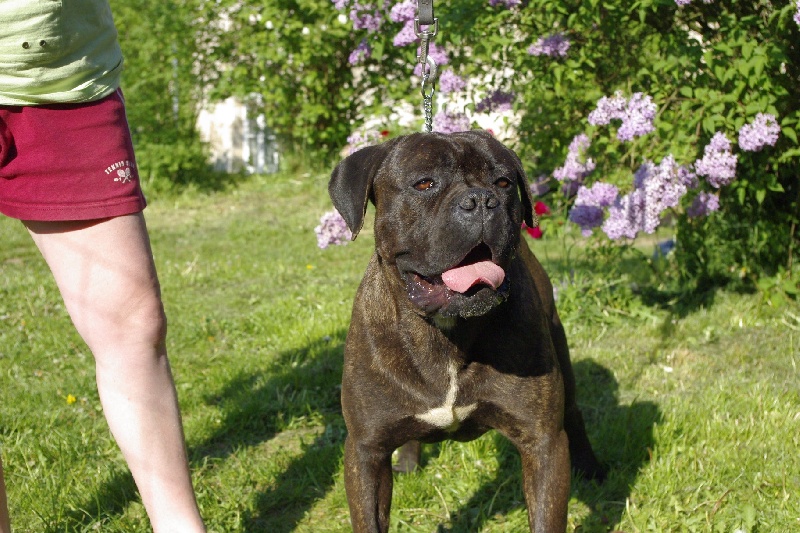 Publication : du Gilwesk Auteur : caroline godon /weska laurent