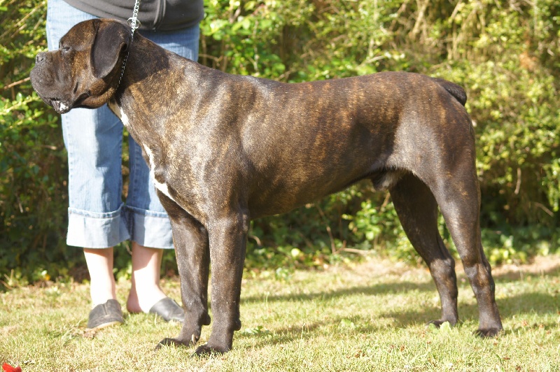 Publication : du Gilwesk Auteur : caroline godon /weska laurent