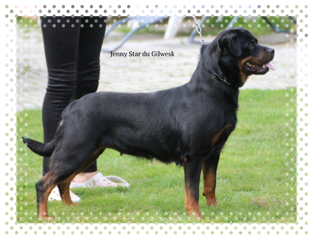 Publication : du Gilwesk