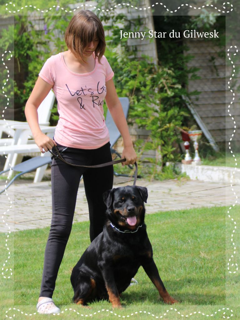 Publication : du Gilwesk