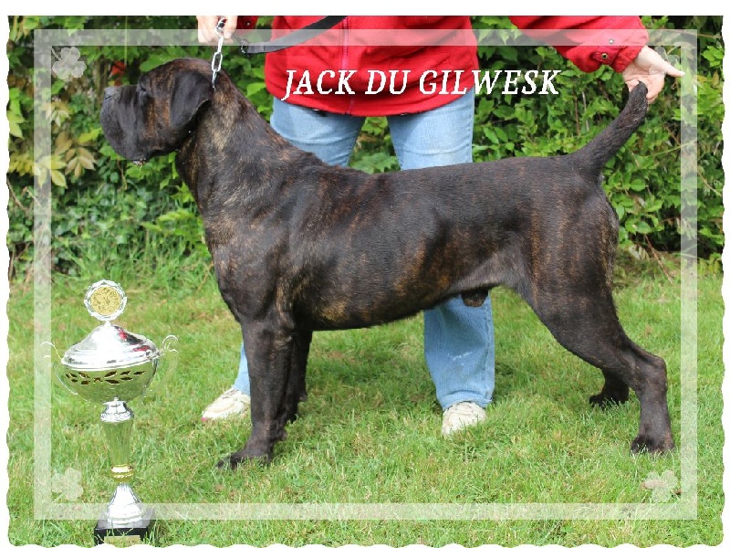 Jack du Gilwesk