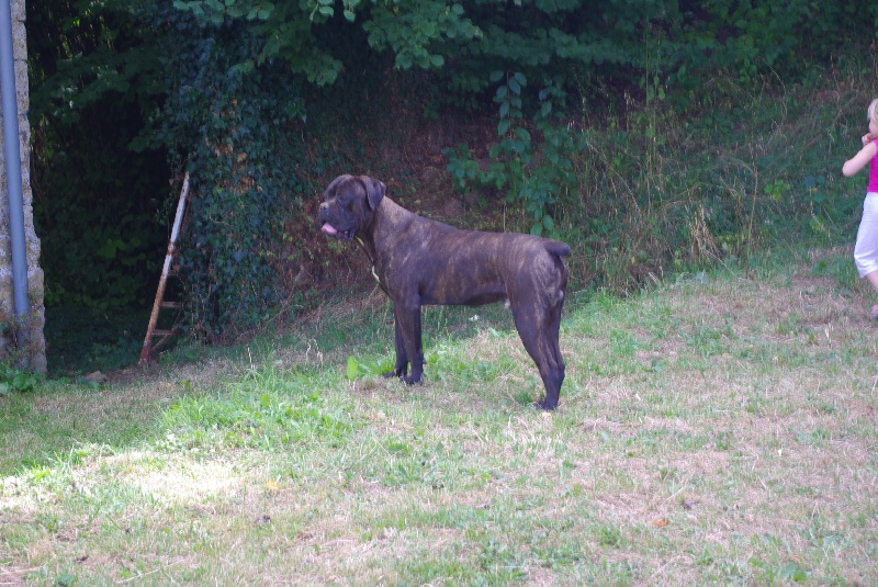 Publication : du Gilwesk Auteur : caroline godon /weska laurent