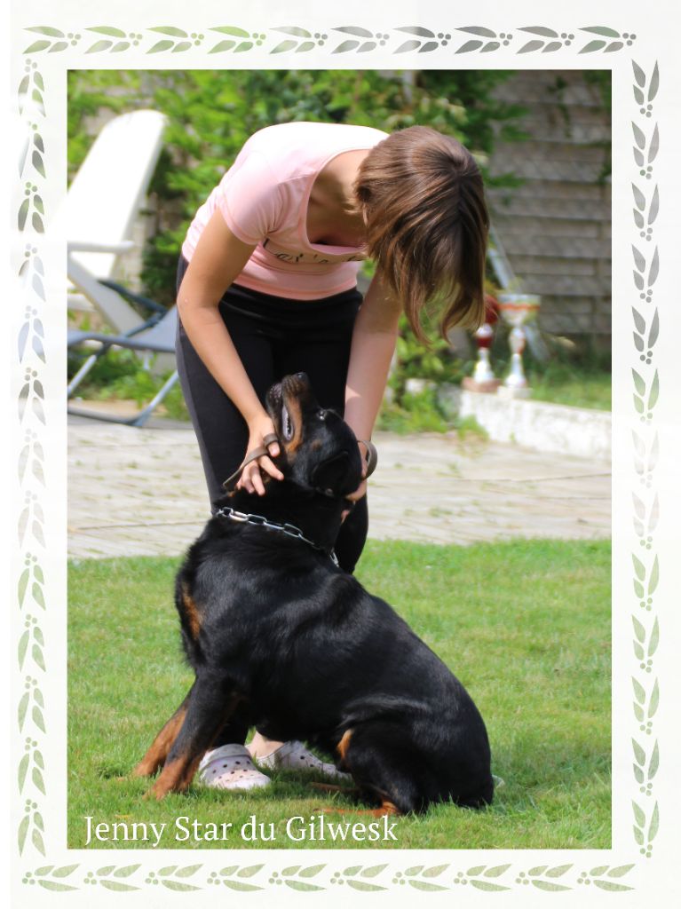 Publication : du Gilwesk