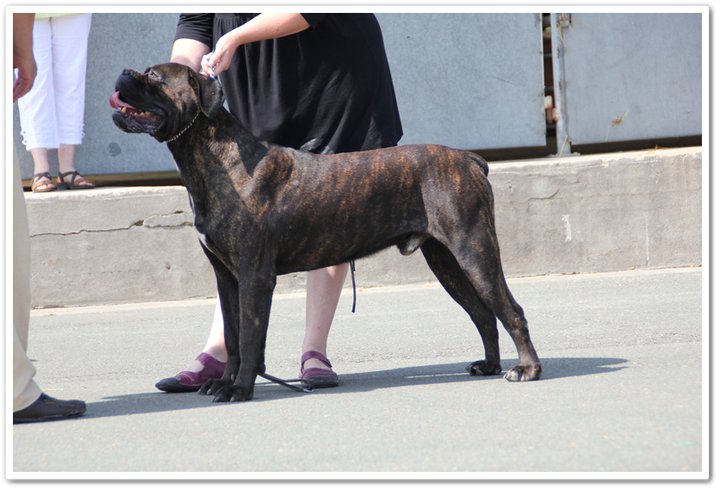 Publication : du Gilwesk Auteur : caroline godon /weska laurent