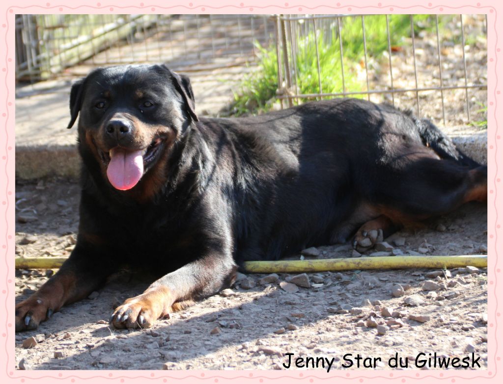 Publication : du Gilwesk