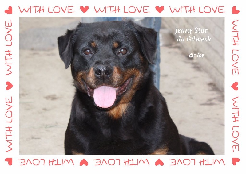 Publication : du Gilwesk