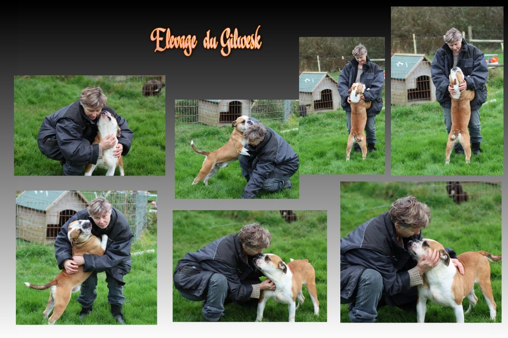 Play boy de la feerie de l hermine