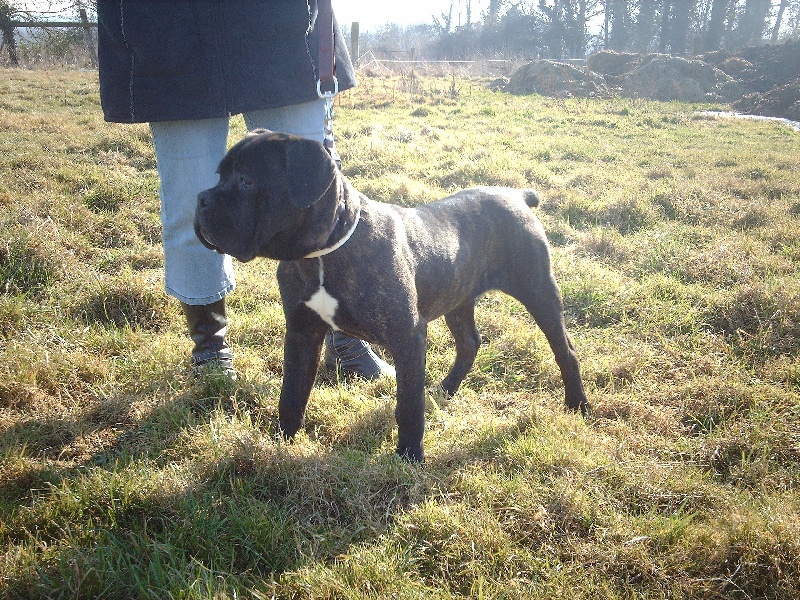 Publication : du Gilwesk Auteur : caroline godon /weska laurent