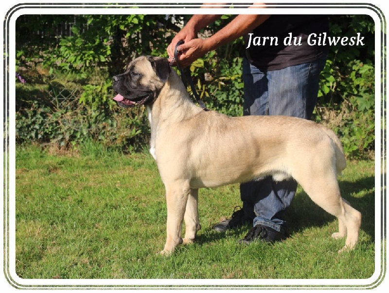 Jarn du Gilwesk