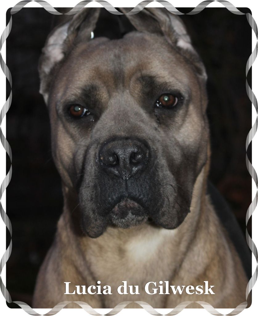 Lucia du Gilwesk