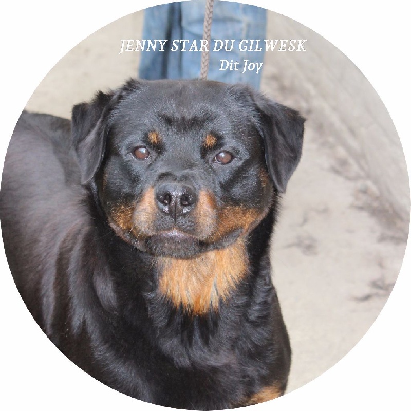 Publication : du Gilwesk