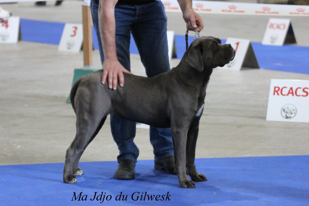 Ma jdjo .... du Gilwesk