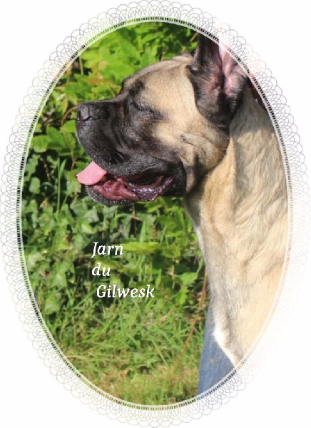 Jarn du Gilwesk