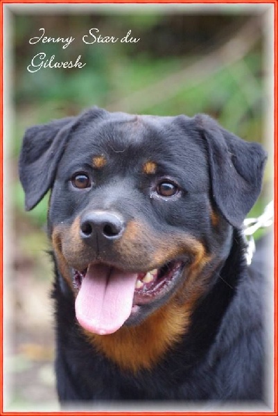 Publication : du Gilwesk