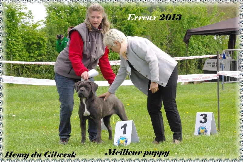 Publication : du Gilwesk Auteur : weska laurent