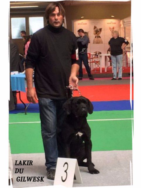 Lakir du Gilwesk