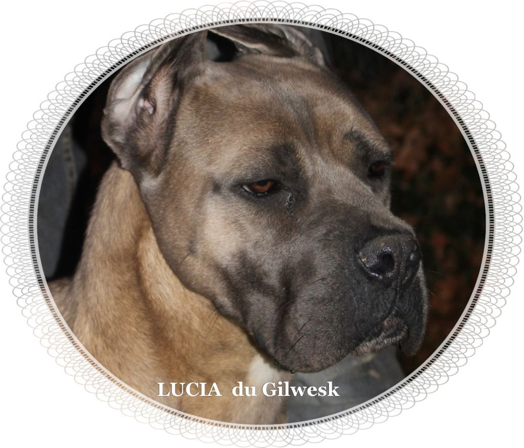 Lucia du Gilwesk
