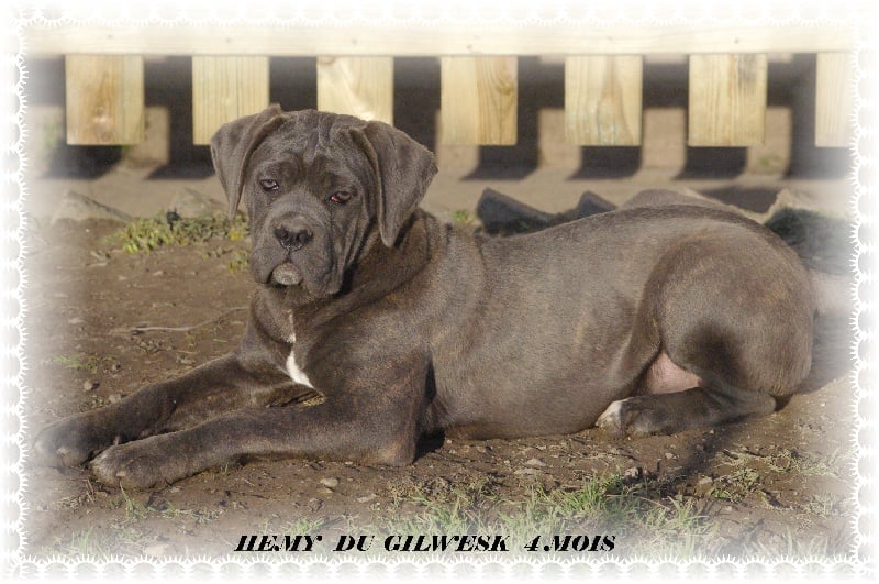 Publication : du Gilwesk Auteur : weska laurent