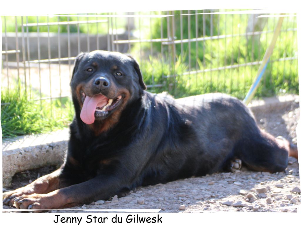 Publication : du Gilwesk