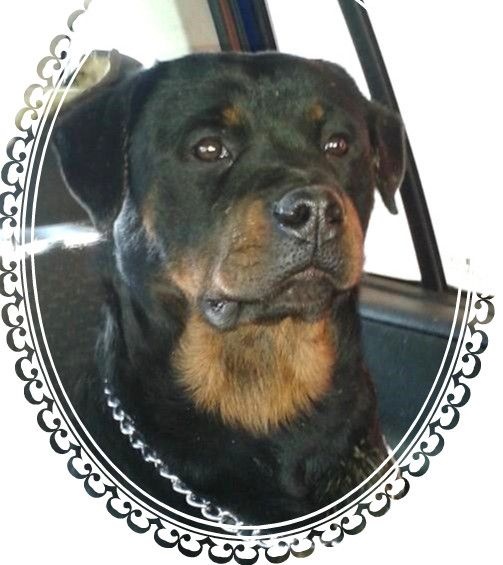 Publication : du Gilwesk