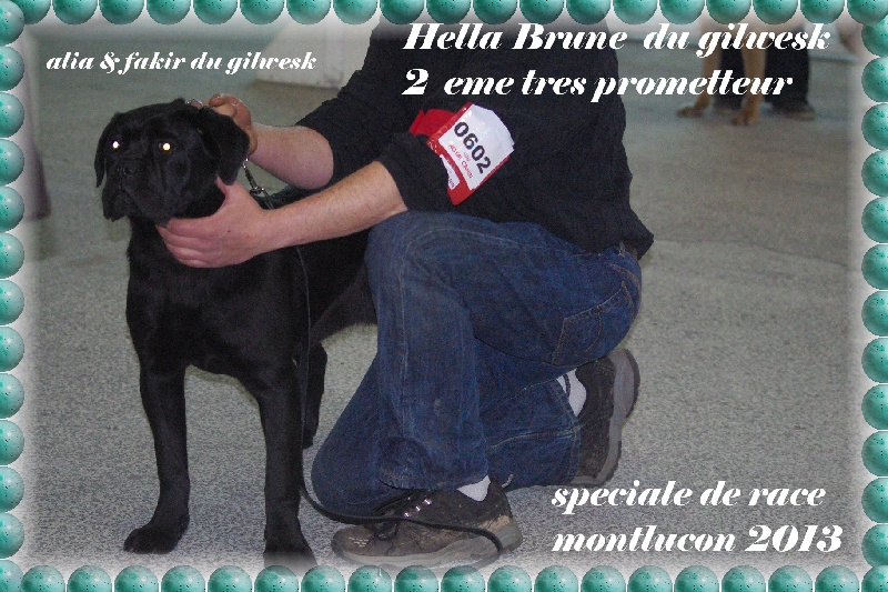 Hella brune du Gilwesk