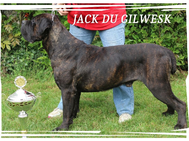 Jack du Gilwesk
