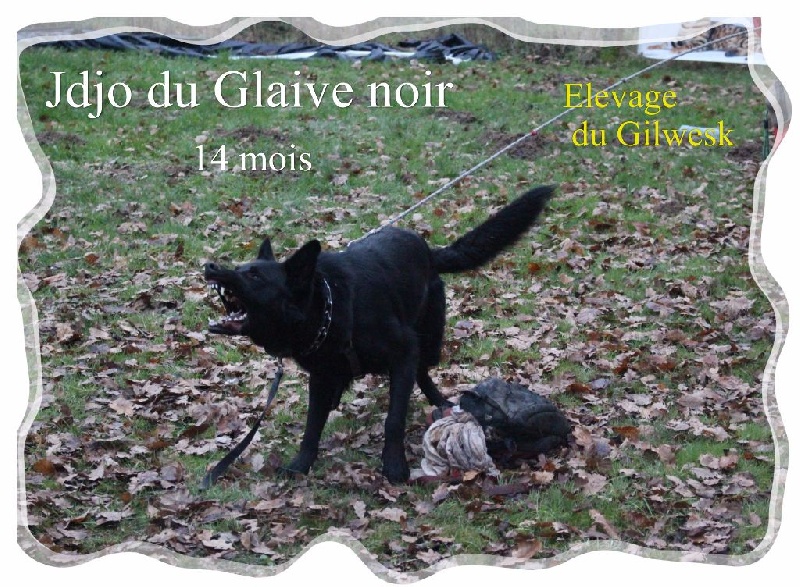 J 'djo du Glaive Noir