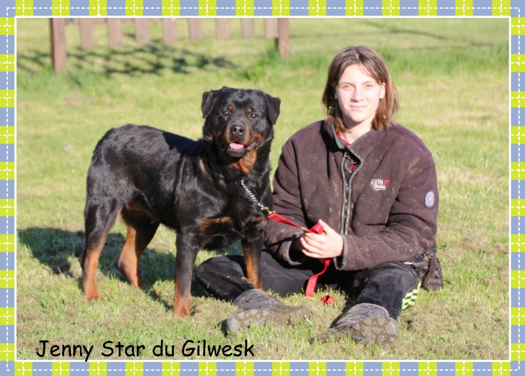 Publication : du Gilwesk