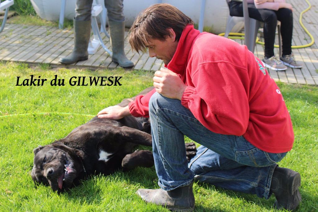 Lakir du Gilwesk