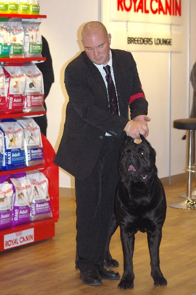 Fakir du Gilwesk - EXCELLENT retenu dans les 6 meilleurs males/16