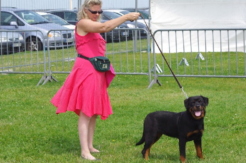 Jenny star du Gilwesk - 2 EM TRES PROMETTEUR