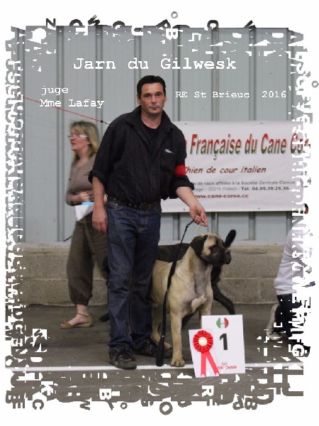 Jarn du Gilwesk - 2 eme excellent jeune male