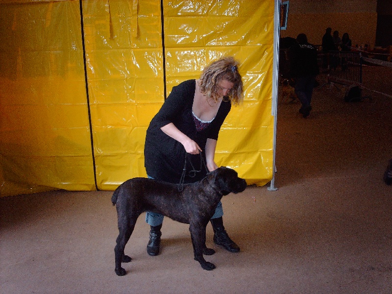 Diane du Gilwesk - PROMETTEUR